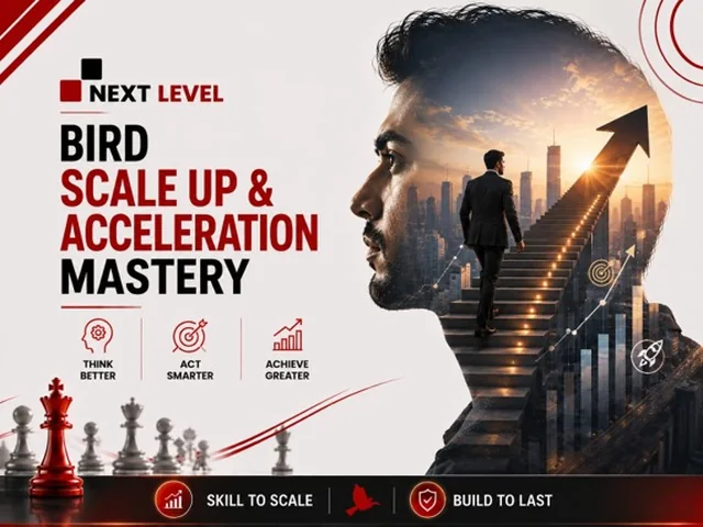 BIRD Scale Up & Acceleration Mastery