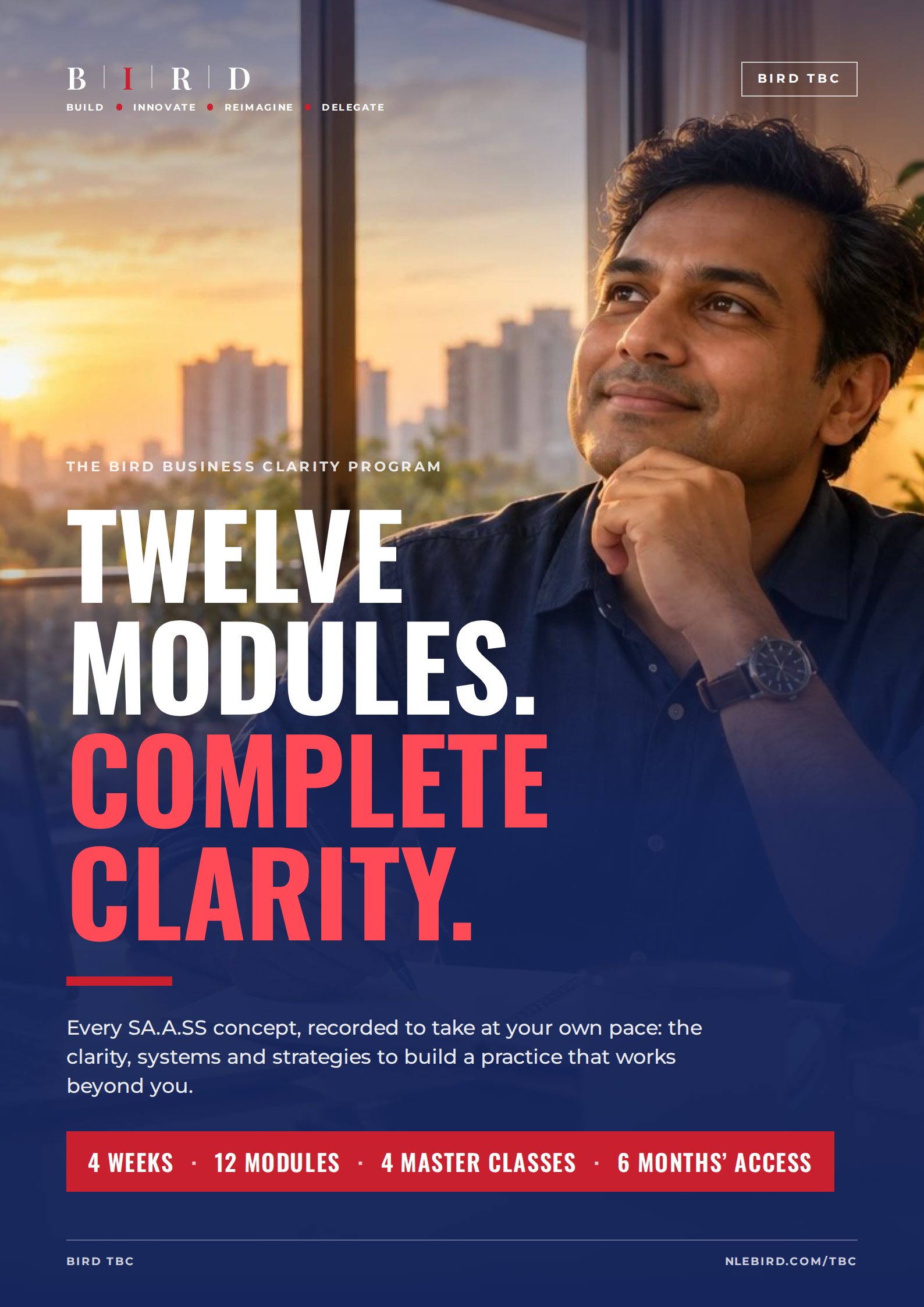 Cover: Twelve modules. Complete clarity. The BIRD Business Clarity Program.